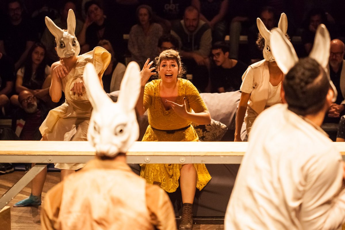 Cercada por coelhos-atores, a protagonista de Leporofobia durante cena no FITUB 2017, em Blumenau
