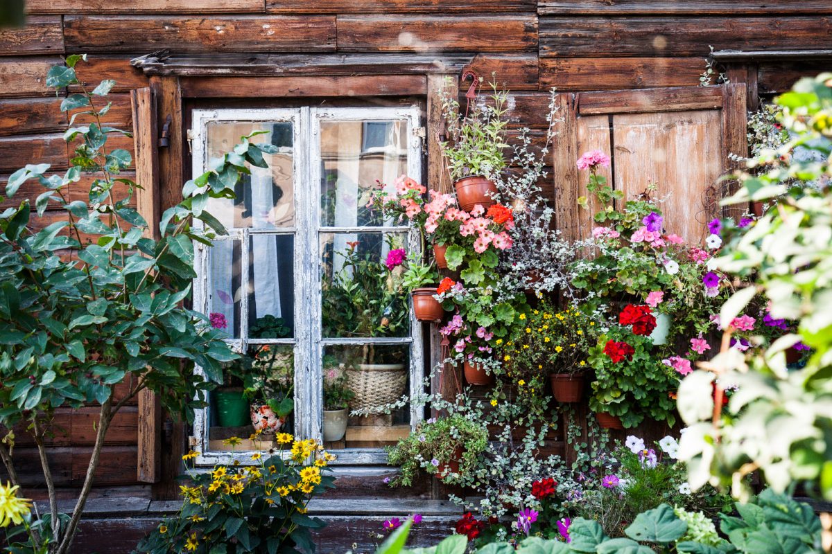 Janela de uma casa típica da cidade de Vilnius, com coloridas flores emoldurando a vista